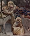 Giotto di Bondone: Fresken in der Arenakapelle in Padua, Szene: Christi Geburt, Detail