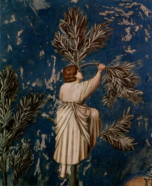 Giotto di Bondone: Fresken in der Arenakapelle in Padua, Szene: Der Einzug in Jerusalem, Detail