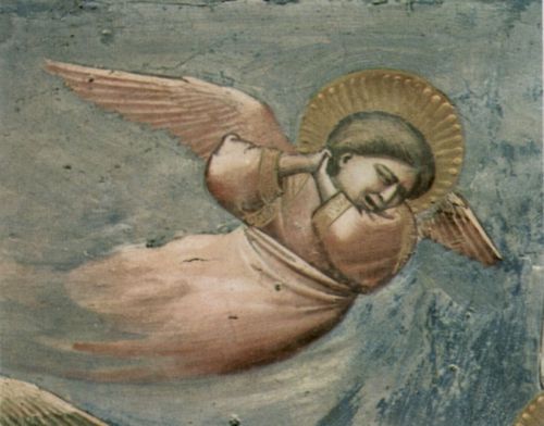 Giotto di Bondone: Fresken in der Arenakapelle in Padua, Szene: Die Beweinung, Detail: Trauernder Engel