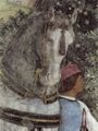 Mantegna, Andrea: Freskenzyklus in der Camera degli Sposi im Palazzo Duccale in Mantua, Szene: Wartende Reitknechte, Detail: Pferd