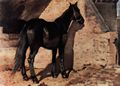 Fattori, Giovanni: Schwarzes Pferd in der Sonne