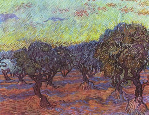 Gogh, Vincent Willem van: Olivenhain
