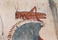 Maler der Grabkammer des Horemhab: Grabkammer des Horemhab, Angehriger des Heeres unter Thutmosis IV., Szene: Jagd, Detail: Heuschrecke