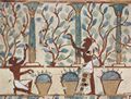 Maler der Grabkammer des Nebamun: Grabkammer des Nebamun, Angehöriger des Herres unter Thutmosis IV., Szene: Weinlese