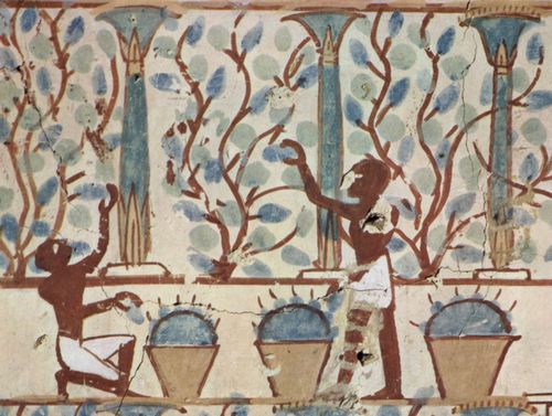 Maler der Grabkammer des Nebamun: Grabkammer des Nebamun, Angehriger des Herres unter Thutmosis IV., Szene: Weinlese