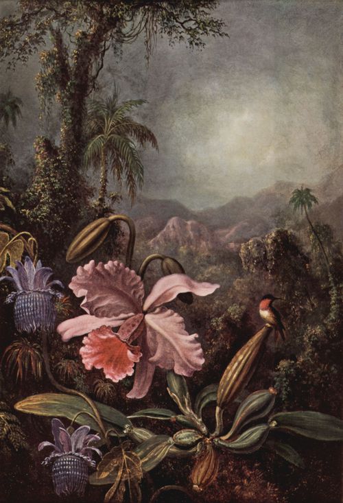 Heade, Martin Johnson: Orchideen, Passionsblumen und Kolibris