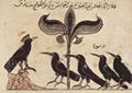 Arabischer Maler um 1210: Kalîla und Dimna, Schakalmärchen, Szene: Der Krähenkönig und seine Räte