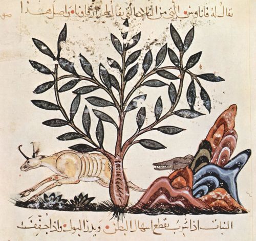 Irakischer Maler des Kräuterbuchs des Dioskurides: De Materia Medica (Das Kräuterbuch) des Dioskurides, Szene: Die Atrâghâlus-Pflanze mit Jagdszene
