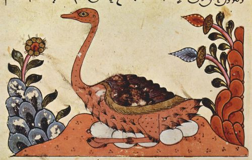 Syrischer Maler um 1335: Buch ber die Tiere des al-Jhiz, Szene: Vogel Strau
