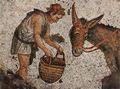 Byzantinischer Mosaizist des 5. Jahrhunderts: Bodenmosaik, Szene: Kind und Esel, Fragment