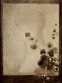 Redon, Odilon: Profilkopf einer Frau mit Blumen