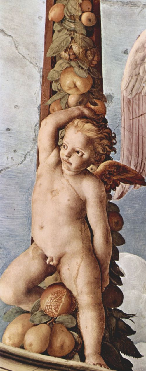 Bronzino, Angelo: Fresken der Kapelle der Eleonora da Toledo im Palazzo Vecchio in Florenz, Deckenfresko, Detail: Girlande mit Engel