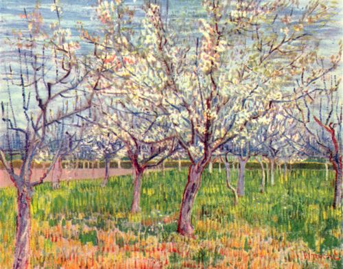 Gogh, Vincent Willem van: Blhender Obstgarten