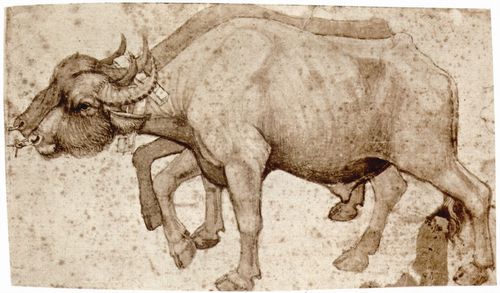 Pisanello: Zwei Wasserbffel im Joch