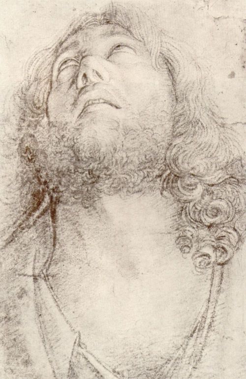Bellini, Giovanni: Kopf eines aufwrts blickenden Mannes