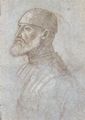 Carpaccio, Vittore: Kopf eines bärtigen Mannes mit Kappe