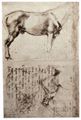 Michelangelo Buonarroti: Studien für ein Pferd und einen Reiter, der Fußvolk angreift