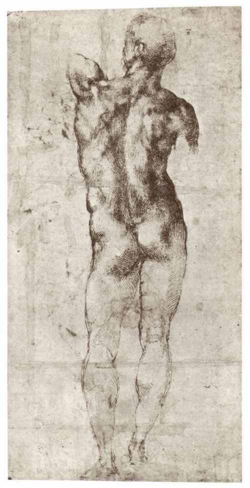 Michelangelo Buonarroti: Stehender mnnlicher Akt, Rckenansicht