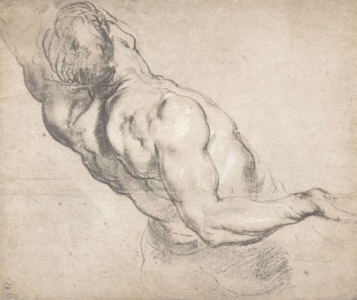 Rubens, Peter Paul: Studie eines mnnlichen Torsos