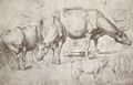 Rubens, Peter Paul: Kühe