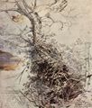 Rubens, Peter Paul: Baum mit Brombeergestrüpp
