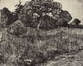Gogh, Vincent Willem van: Baum in einer Wiese