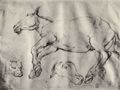 Géricault, Jean Louis Théodore: Studie eines toten Pferdes