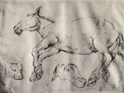 Gricault, Jean Louis Thodore: Studie eines toten Pferdes