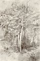 Corot, Jean-Baptiste Camille: Studie aus dem Wald von Compigne