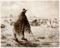 Millet (II), Jean-Franois: Schfer mit Herde