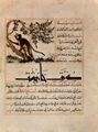 Nordwest-Persischer Meister des mongolisch-chinesischen Stils um 1297-1299: Handschrift »Manfi' – ye hayavn (ber den Nutzen der Tiere in der Medizin)« von Ab Sa'd 'Ubaydallh ibn Bakhtsh: Affe