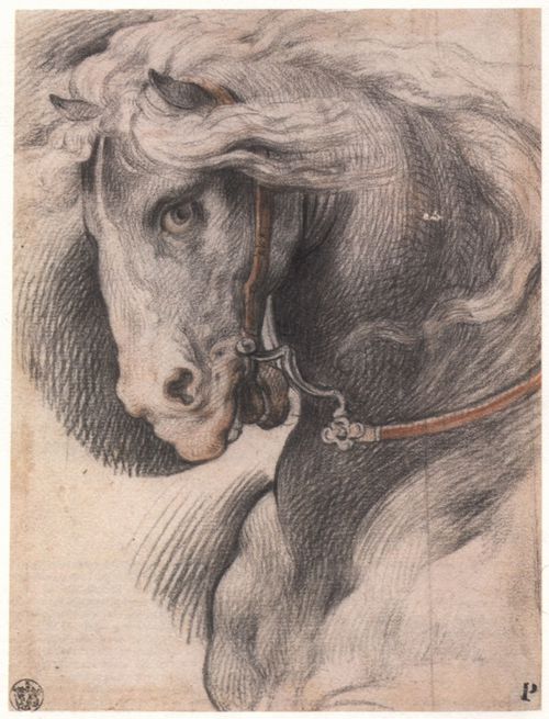Cesari, Giuseppe: Pferdekopf