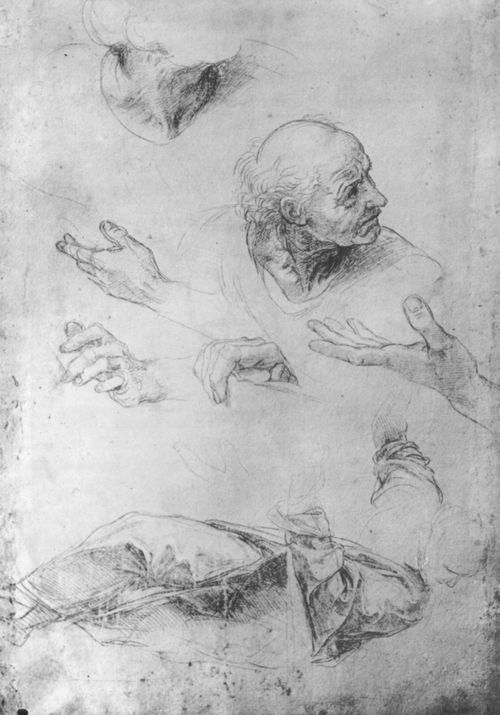 Raffael: Disputa, Studie, Mnnliche Figur an der Balustrade (links im Fresko) und Handstudien