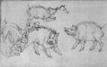 Cranach d. Ä., Lucas: Wildschweine und Hunde