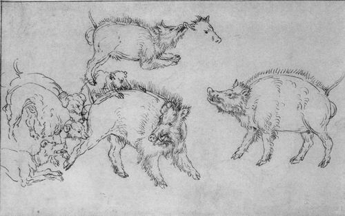 Cranach d. ., Lucas: Wildschweine und Hunde