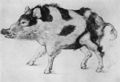 Cranach d. Ä., Lucas: Wildschwein