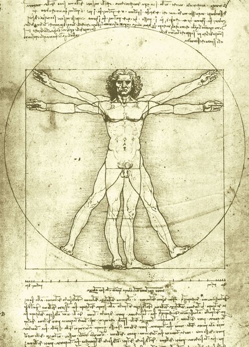 Leonardo da Vinci: Proportionsstudie nach Vitruv