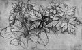 Leonardo da Vinci: Blhende Anemonen