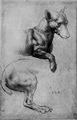 Leonardo da Vinci: Studienblatt, Hund