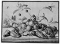 Ast, Balthasar van der: Stillleben mit Früchten und Muscheln