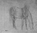 Degas, Edgar Germain Hilaire: Stehendes Pferd