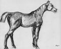 Degas, Edgar Germain Hilaire: Stehendes Pferd im Profil