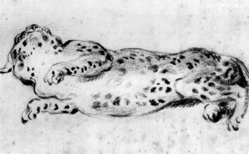 Watteau, Antoine: Ein ausgestreckt liegender Leopard
