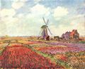 Monet, Claude: Tulpen von Holland