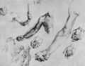 Dürer, Albrecht: Arm- und Handstudien