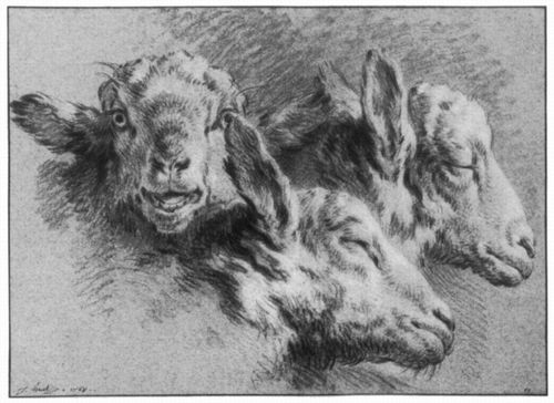 Huet, Jean-Baptiste Marie: Drei Köpfe eines Schafes, wachend und schlafend