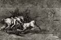 Goya y Lucientes, Francisco de: Folge der »Tauromaquia«, Blatt 23: Mariano Ceballos, alias el Indio, tötet den Stier vom Rücken seines Pferdes aus