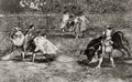 Goya y Lucientes, Francisco de: Folge der »Tauromaquia«, Blatt D: Ein Lanzenträger, auf den Schultern eines Stierkämpfers reitend, stößt den Stier
