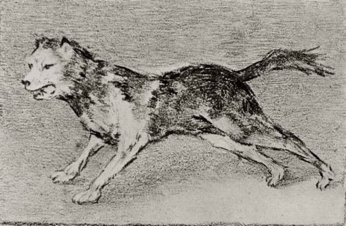 Goya y Lucientes, Francisco de: Bellender Hund
