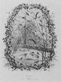 Daubigny, Charles-François: Vignetten für »Le Jardin des Plantes«: Die Voliere der Sperlinge